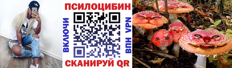 omg зеркало  Ейск  нарко площадка телеграм  хочу наркоту  Галлюциногенные грибы мухоморы 